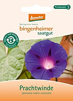 Bingenheimer Saatgut - Prachtwinde