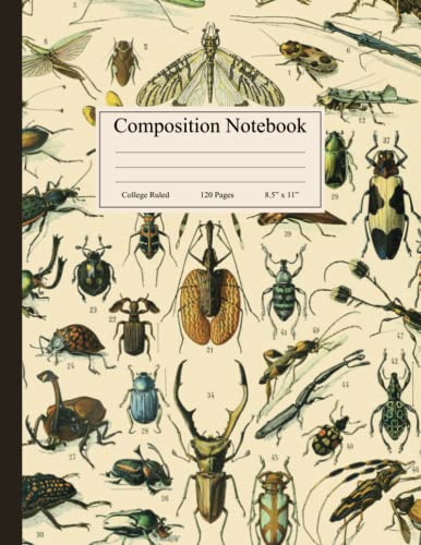Composition Notebook: Vintage Insect Illustration. Entomology Journal, College Ruled, 120 Pages, 8.5 x 11