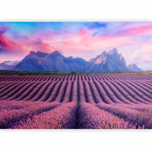 murando PREMIUM Papier peint Champ de lavande 400x280 cm Décoration Murale XXL Poster Tableaux Muraux Tapisserie Photo Lavande Paysage Montagnes Panorama b-C-10258-a-a