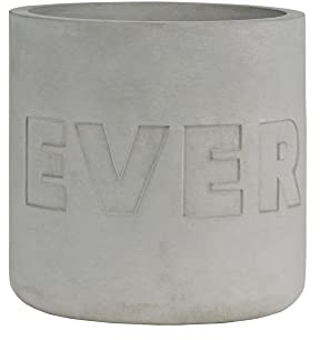 Räder [W] Betonübertopf Evergreen D:15cm H:15cm