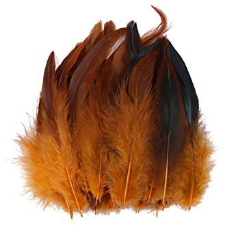 Surakey 100 Stück Basteln Federn,Orange Hahnenfedern,14-20CM DIY Bastelfedern für Bastelprojekte Traumfänger DIY Ohrringe Faschingskostüme Party Hüte Masken Schmuckstücke Ostereier Deko Fasanfedern