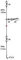 Greys Bass Rig 1 Hook Gr.3/0 Brandungsvorfach