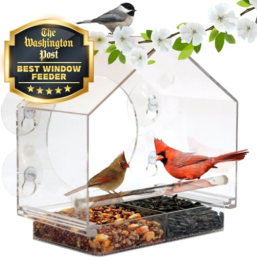 Birds-I-View Fenster-Vogelfutterstation