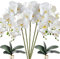 HinyoCo 5 Künstliche Phalaenopsis-Blumen,80 cm Künstliche Orchidee mit Künstliche Orchidee Blätter 2 Bündeln, Party, Büro, Terrasse, Hof, Heim-Blumendekoration (Weiß)