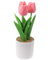 SPORTARC Tulpen-Topfpflanze, künstliche Blumen, Tulpen, künstliche Pflanzen, Baum im Topf, Dekoration für Zuhause, Hochzeit, Party, Dekoration (Rosa)