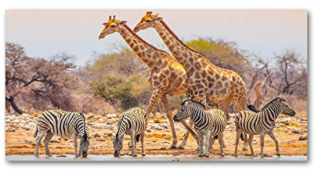 Tulup Glas-Bild Wandbild aus Glas - Wandkunst - Wandbild hinter gehärtetem Sicherheitsglas - Dekorative Wand für Küche & Wohnzimmer 100x50 - Tiere - Giraffen und Zebras - Braun