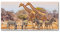 Tulup Glas-Bild Wandbild aus Glas - Wandkunst - Wandbild hinter gehärtetem Sicherheitsglas - Dekorative Wand für Küche & Wohnzimmer 100x50 - Tiere - Giraffen und Zebras - Braun
