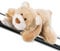 NICI 48772 Magnettier Bär Mielo Green 12cm, Beige