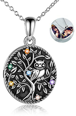 ONEFINITY Tierhalskette personalisierter Baum des Lebens Medaillon Halskette mit Bildern Benutzerdefinierte Sterlingsilber Stammbaum Halskette Schmuck Geschenke für Frauen (Eule)