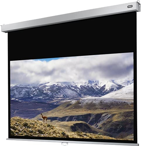celexon Professional Plus Rollo-Leinwand 130 | 280x175 cm 16:10 | manuell ausziehbare 4K, Full-HD Beamer-Leinwand für Büro-Präsentationen & Heimkino-Projektionen | Wand- & Deckenmontage