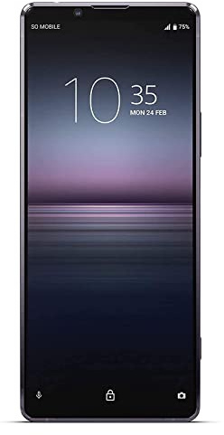 Sony Xperia 1 II Mirror Slate 6.5 256GB 5G Unlocked & SIM Free