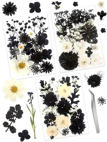 Cinvo 63 Stück echte, getrocknete gepresste Blumen und Blätter, Schwarz / Weiß, natürliche getrocknete Blütenblätter mit Pinzette für Kerzen, Schmuck, Seife, Nagelanhänger, Handyhülle, Basteln,