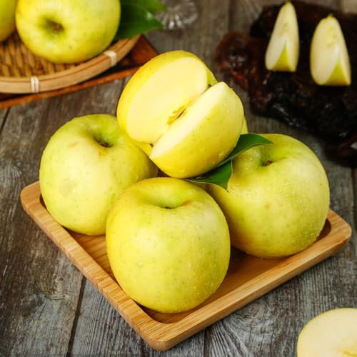 apfelbaum alte sorten samen - säulen obstbäume pflanze winterharte pflanzen nachhaltige geschenke geschenke für gartenfreunde bio samen balkongarten alte sorten zwergobstbäume 10pcs