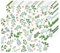 Grün Blätter Papier Platzsets 50 Stück Einweg Platzsets Frühling Eukalyptus Blume Papier Tischsets 40x28 cm, Sommer Dekoration für Küche, Esstisch, Urlaub, Party, Hochzeit