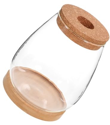 Gadpiparty Hydroponisches Terrarium aus Glas und Bambus Selbstgemacht Pflanzenhalter für Moos und Blumen als Desktop und Raumdekoration