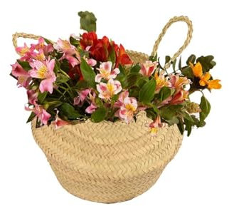 Jardin202 - Cesta de Mimbre Cubremaceta – Canasta Multiusos Decorativa para Plantas y Almacenaje | Grande -