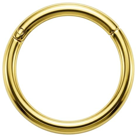 1,2 mm (1,2 mm) – 11 mm Durchmesser Gold eloxierter 316L chirurgischer Stahl Scharnier-Segmentring – Clicker-Ring – Septum-Clicker – Ohrknorpel – Huggie Ohrring – winziger Nasenring – Lippenring