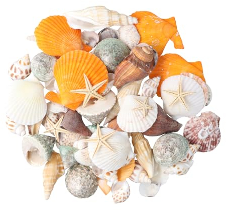Anseom Conchiglie, conchiglie decorative con stelle marine, conchiglie oceaniche miste, conchiglie marine, per vasi, spiaggia, feste a tema, casa, matrimoni, decorazioni fai da te, rete da pesca