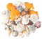 Anseom Muscheln, Deko Muscheln Seestern, Gemischte Ozean-Muscheln, Meeresmuscheln für Vase Füller Strand Themenparty Home Hochzeit Dekorationen DIY Handwerk Fischernetz Deko
