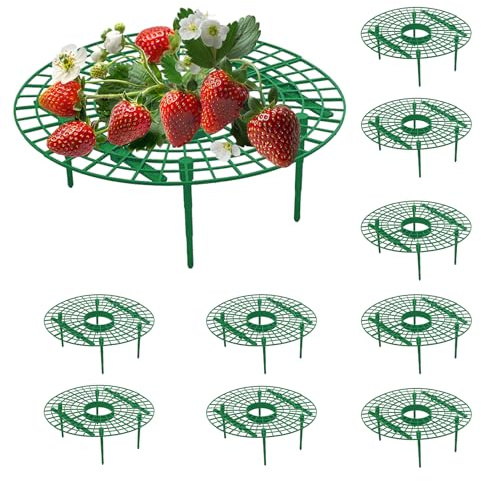 Erdbeerstützen Ständer, 10 Stück Erdbeeren Rankhilfe Erdbeeren Pflanzen Schutz Erdbeerreifer Schneckenschutz Erdbeerstützen für Gartenzubehör Erdbeergitter schützen vor Fäulnis & Schimmel (A)
