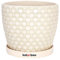 KOTARBAU® - Vaso da fiori in ceramica per piante, diametro 15 cm, vintage, con vaschetta antigoccia, motivo squame di pesce, colore crema