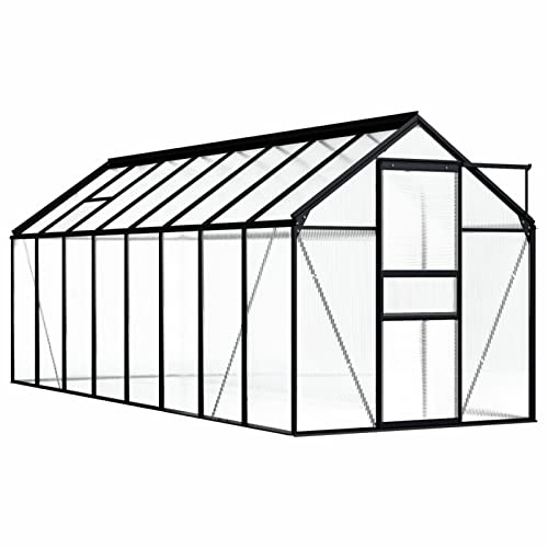 Camerina Gewächshaus Anthrazit Aluminium 9,31 m² GewäChshausfolie Anzucht GewäChshaus Gewachhaus GewäChshaus FüR Den Garten