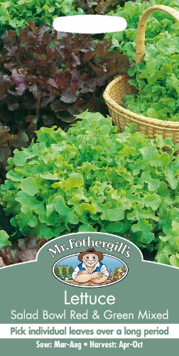 Salad Bowl Red & Green Mixed Lettuce Seeds