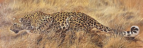 Kunstdruck 99x34 cm - WANTED von Renato Casaro - Afrika Leopard Gepard Top Deko Bild