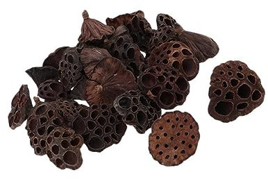 VUIUYOIES 30pcs Delicate Natural Dried Lotus Pod Flowers for Stunning DIY Decor