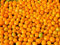Aji Charapita Chili -10 Samen-momentan teuerstes Chili