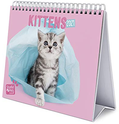 Erik Tischkalender Studio Pets Cats - Tischplaner 2021 Katzen