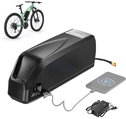 BAFANG Batterie de vélo électrique 48 V 20 Ah avec chargeur et port USB G80 Batterie au lithium pour vélo électrique 250 W 500 W 750 W 1000 W 1500 W Kit de conversion de vélo électrique