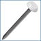 UPVC White Cladding Nails Stainless Steel White 50mm - 100 Box