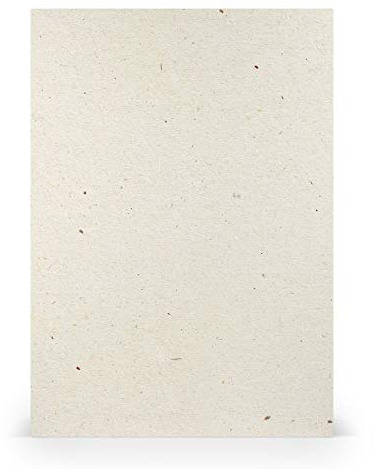 PAPERADO 200x Bastelkarton DIN A4 - Terra Vanilla Creme Beige 220 g/m² Tonkarton - Dickes Bastelpapier in 29,7 x 21 cm Malen, Basteln perfekte Bastelpappe