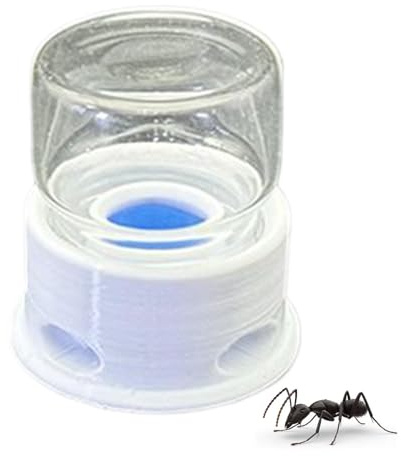 Wasserspender für Ameisen, Wasserstation für Bienen, multifunktional, transparent, für Bienen, Bauernhof, Outdoor und Klassenzimmer