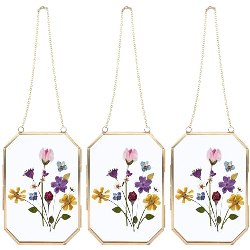 LDHHYH 3 Pack Glass Hanging Picture Frames, 4x6 Inch Double Glass Frame for Pressed Flowers, Gold Frames with Chain Floating Picture Frame for Displaying Artwork and Home Decor