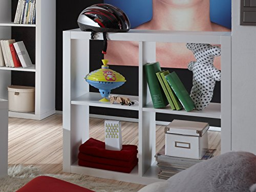 möbelando Raumteiler Raumtrenner Regal Holzregal Standregal Bücherregal Portia II
