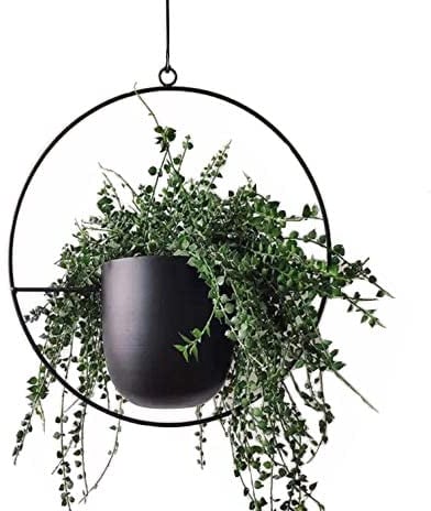 Cratone NCGL Plant hanger, Acrylic