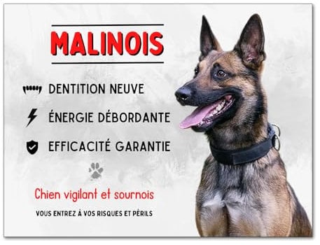 Plaque Malinois attention au chien vigilant panneau berger belge pancarte porte d'entrée en aluminium