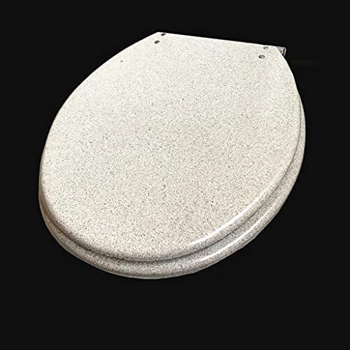 European Style Universal Resin Toilet Seat Cover, Thickened Vintage Slow-Close Toilet Seats Lid (Light Grey Talla nica)