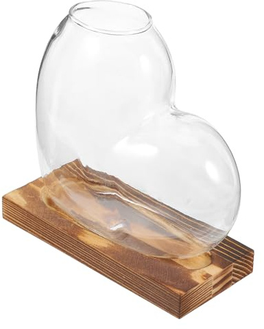 HIAKDOFT Hydrokultur Glasvase mit Holzsockel Transparente Terrariumschalen für Wasserpflanzen Kleine Glasterrarien als Tischpflanzgefäß