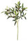 artplants.de Ramo d'olivo Artificiale con 105 Foglie, 6 Olive, Verde, 50cm -Olive Decorative/Decorazione pensile