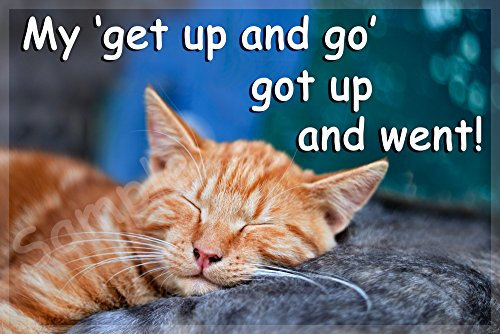 Funny Cat Flexible Fridge Magnet -My get up and go got up and went!