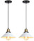 iDEGU 2 Piezas Lámparas Colgantes Vintage, 22CM Lámparas de Techo Retro de Metal Estilo Edison Industrial E27 Iluminación Luz de Techo Colgante para Comedor Cocina Salón Bar Restaurante (2x Blanco)