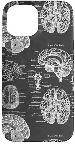 Hülle für iPhone 15 Brain Anatomy Vintage Medical Diagramme