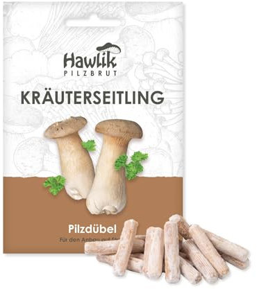Hawlik Pilzbrut Kräuterseitlinge Myzel-Dübel für Pilzzucht auf Stroh - Kinderleicht Pilze im Garten züchten und leckere Edelpilze ernten - Pilze selber züchten