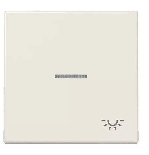 Jung LS990KO5L Wippe mit Symbol Licht KO