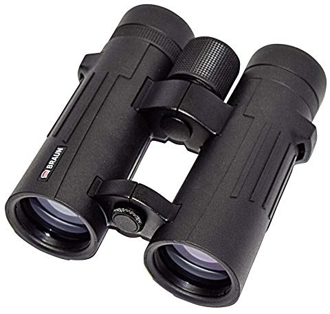 Braun Photo Technik – Braun Compagno 10 x 42 WP 00158083