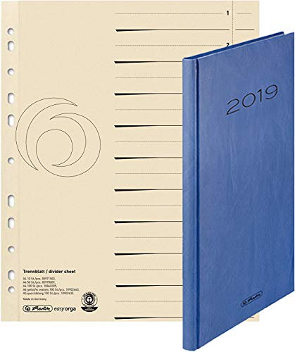 Herlitz 10840205 Trennblatt A4, chamois, Kraftkarton, 100 Stück in Folie eingeschweißt, 5 Packungen