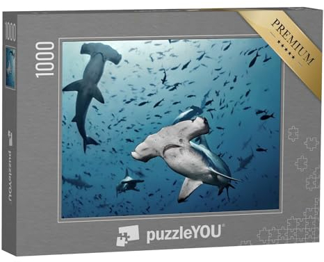 puzzleYOU: Puzzle 1000 Teile „Hammerhaie auf der Jagd, Insel Cocos, Costa Rica“ – aus der Puzzle-Kollektion Haie, Raubtiere, Fische & Wassertiere